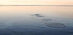 The Skim -January 2019 - Skimming Pebbles on Water